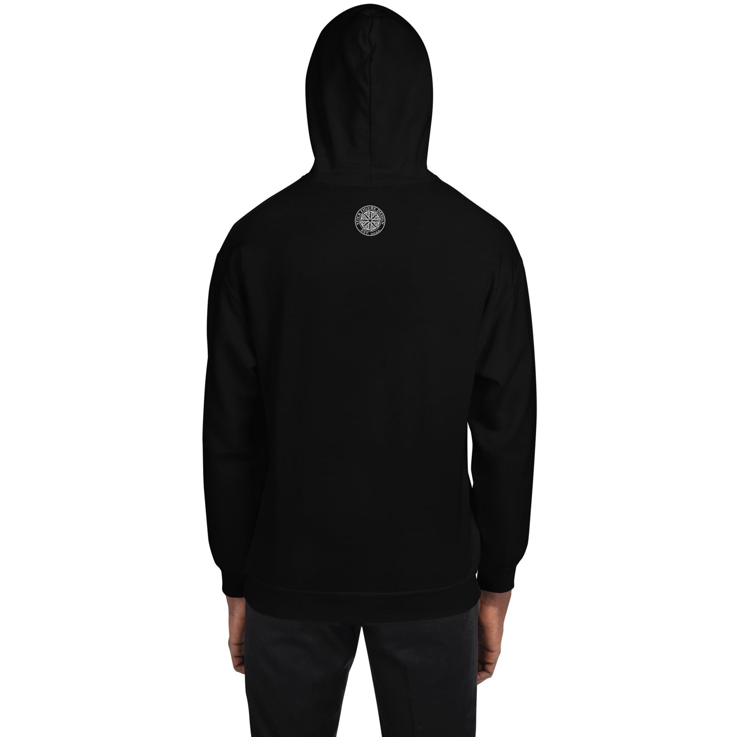 Jupiter's auroras JWST 2022 Black Hoodie